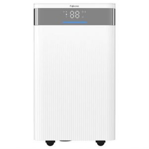 Máy hút ẩm FUJIHOME DH12NW