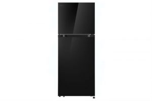 Tủ lạnh LG Inverter 217 lít T21BG